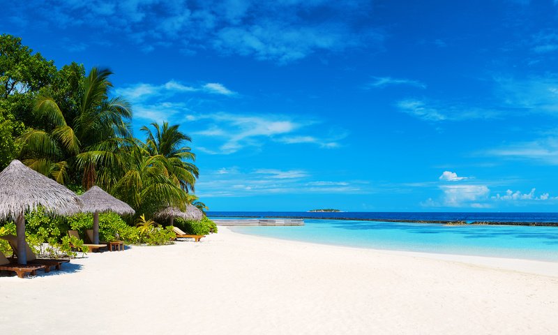 Обои пляж, тропики, мальдивы, beach, tropics, the maldives разрешение 3840x2400 Загрузить