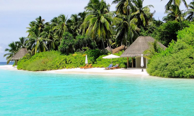 Обои пляж, остров, тропики, мальдивы, beach, island, tropics, the maldives разрешение 2560x1600 Загрузить