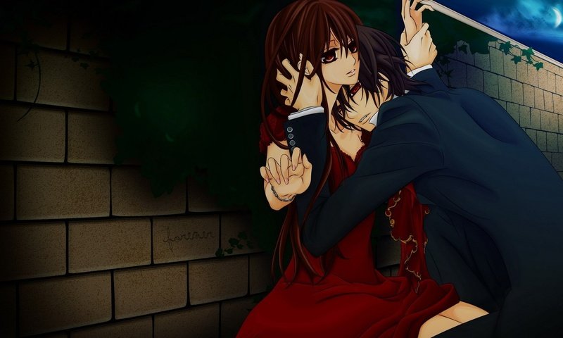 Обои аниме, rycar vampir, yuki, kaname, anime разрешение 1920x1080 Загрузить