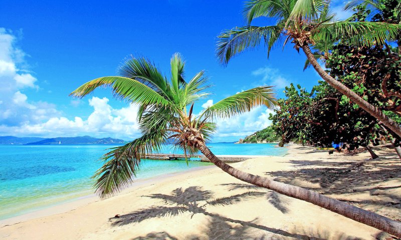 Обои море, пляж, тропики, sea, beach, tropics разрешение 5568x3690 Загрузить