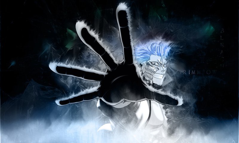 Обои блич, blich, grimmjow, bleach разрешение 1920x1200 Загрузить