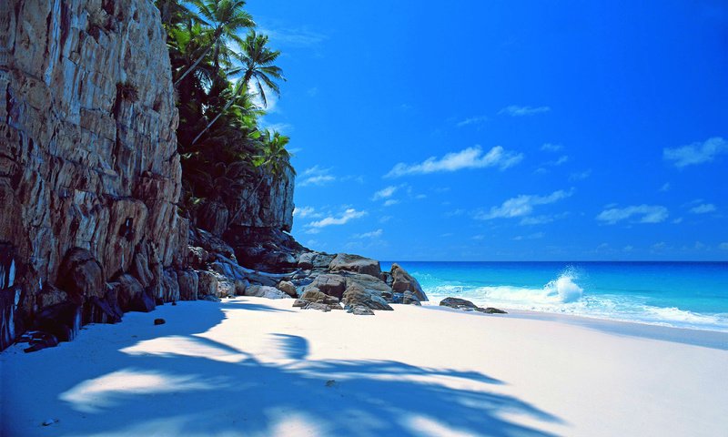 Обои море, пляж, тропики, sea, beach, tropics разрешение 3755x2768 Загрузить