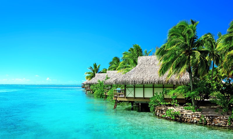 Обои море, бунгало, тропики, sea, bungalow, tropics разрешение 5531x3269 Загрузить