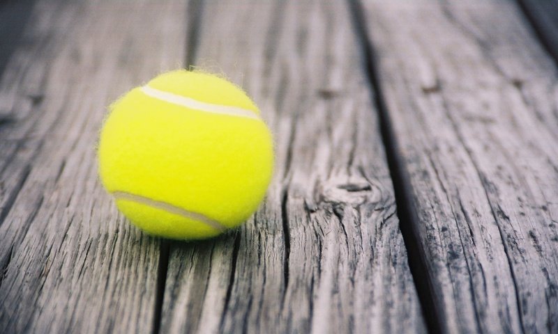 Обои тенис, спорт, мяч, теннис, бал, doski, myach, tennis, sport, the ball, ball разрешение 2560x1600 Загрузить