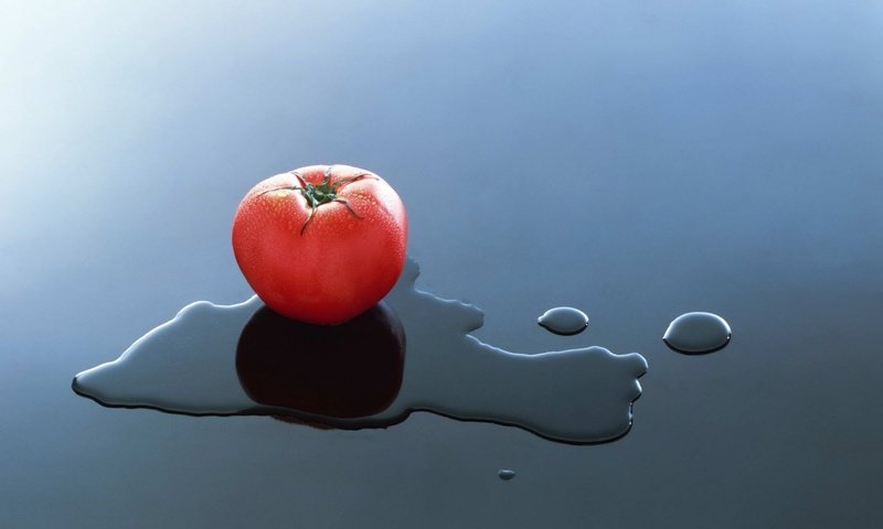 Обои вода, фон, овощи, помидоры, томат, water, background, vegetables, tomatoes, tomato разрешение 1920x1200 Загрузить