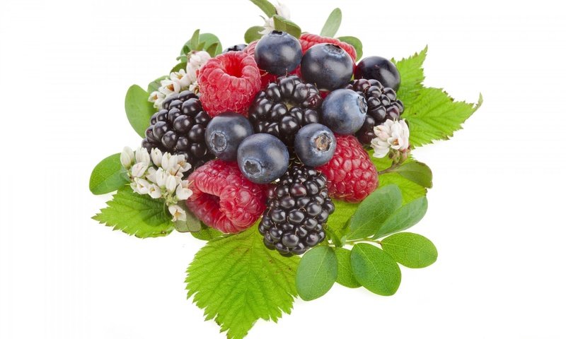 Обои листья, малина, ягоды, черника, ежевика, leaves, raspberry, berries, blueberries, blackberry разрешение 1920x1200 Загрузить