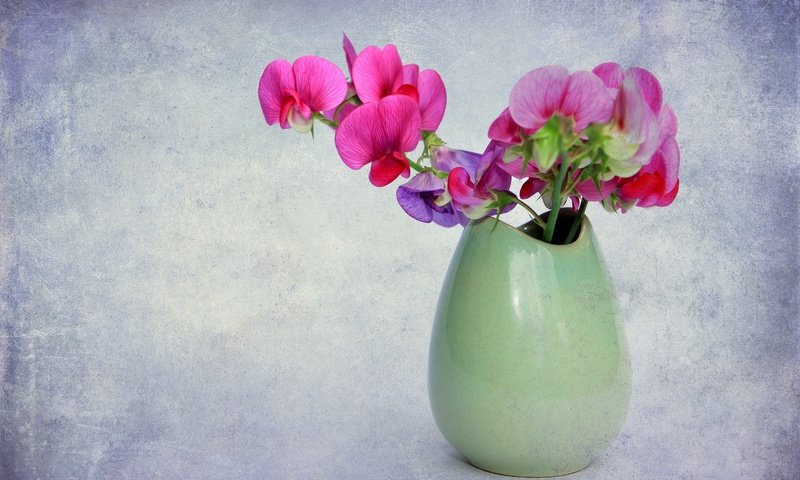 Обои цветы, фон, букет, ваза, орхидея, flowers, background, bouquet, vase, orchid разрешение 2048x1365 Загрузить