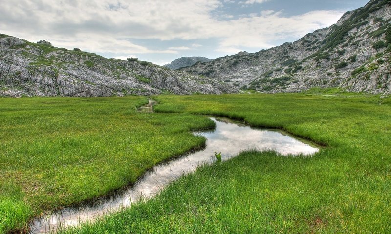Обои трава, горы, природа, ручей, пейзаж., grass, mountains, nature, stream, landscape. разрешение 2560x1600 Загрузить