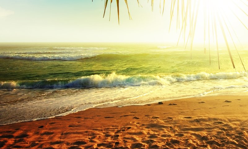 Обои природа, берег, море, песок, пляж, побережье, nature, shore, sea, sand, beach, coast разрешение 2560x1600 Загрузить