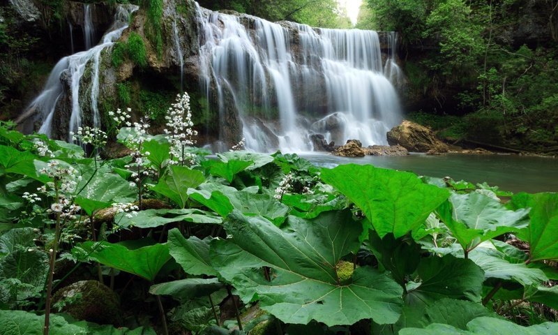 Обои деревья, растения, лес, листья, водопад, речка, trees, plants, forest, leaves, waterfall, river разрешение 2048x1348 Загрузить