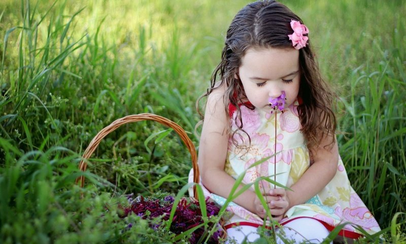 Обои трава, настроение, цветок, дети, девочка, корзинка, grass, mood, flower, children, girl, basket разрешение 2048x1365 Загрузить