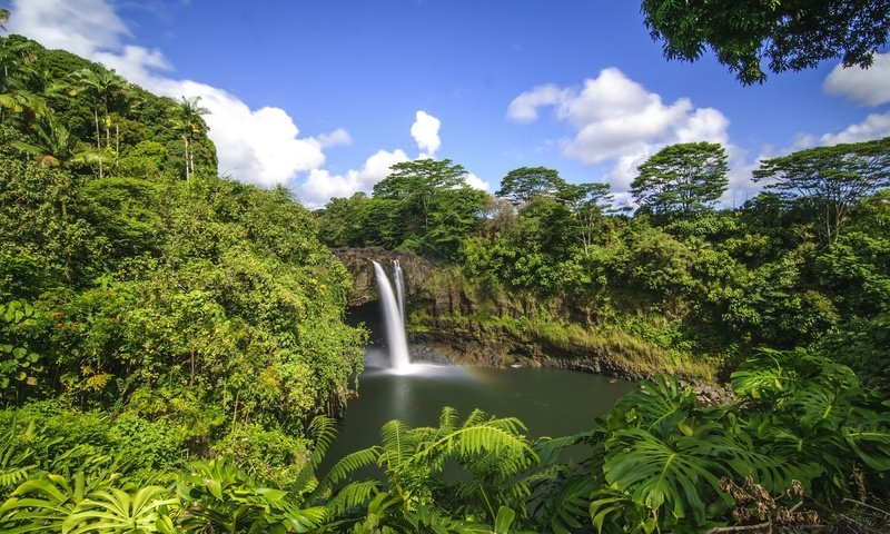 Обои деревья, лес, водопад, тропики, гавайи, trees, forest, waterfall, tropics, hawaii разрешение 2800x1860 Загрузить