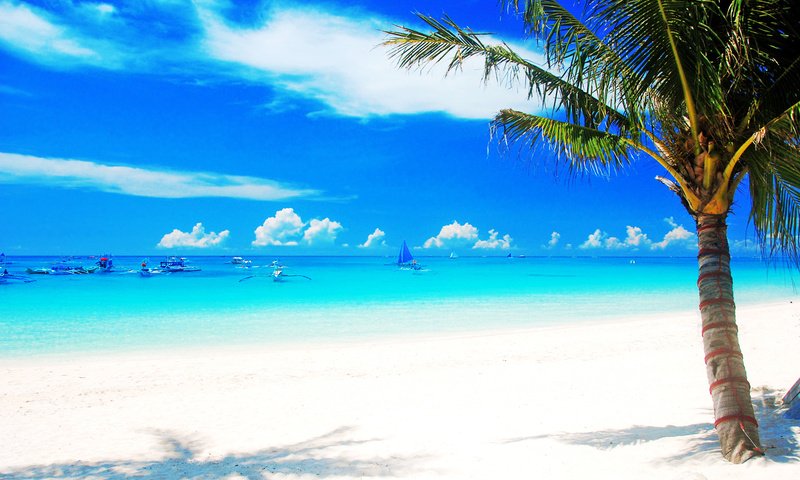 Обои море, пляж, лодки, тропики, palms, sea, beach, boats, tropics разрешение 1920x1200 Загрузить