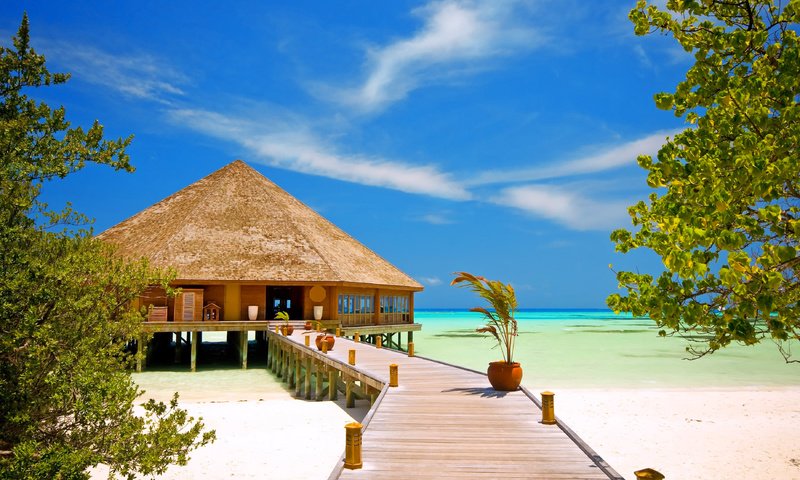 Обои море, пляж, отдых, тропики, sea, beach, stay, tropics разрешение 3700x2458 Загрузить