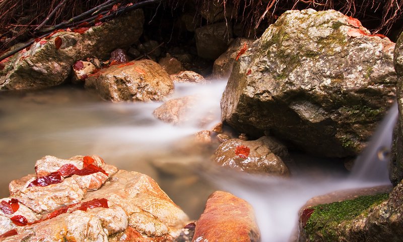 Обои природа, камни, ручей, речка, течение, nature, stones, stream, river, for разрешение 3531x2292 Загрузить