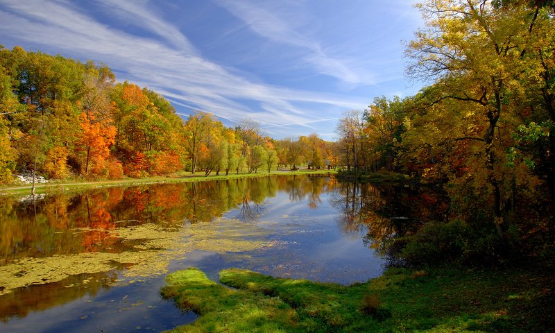 Обои природа, парк, осень, пруд, nature, park, autumn, pond разрешение 1920x1200 Загрузить