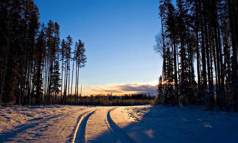 Обои дорога в зимнем лесу на закате, road in winter forest at sunset разрешение 2560x1440 Загрузить