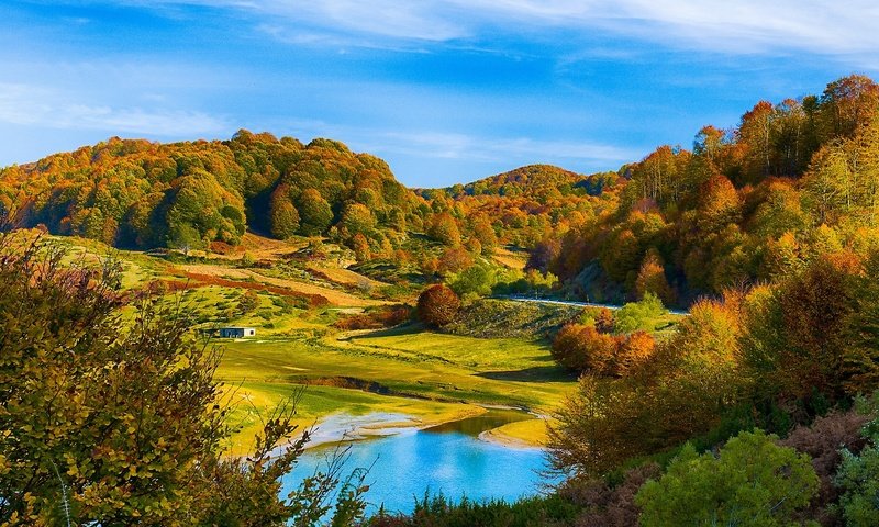 Обои красивый осенний лес на холмах, beautiful autumn forest in the hills разрешение 2560x1440 Загрузить