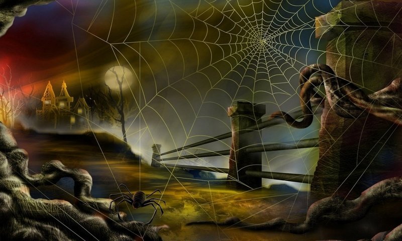 Обои паук и паутина, spider and web разрешение 2560x1440 Загрузить