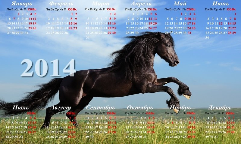 Обои календарь 2014 с лошадью, calendar 2014 with horse разрешение 2560x1440 Загрузить