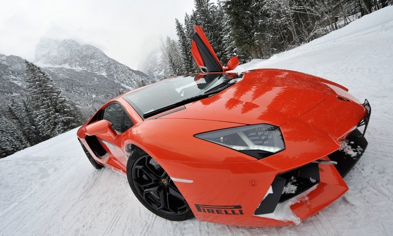 Обои снег, ракурс, спорткар, моська, lamborghini aventador lp700-4, snow, view, sports car, pug разрешение 2560x1703 Загрузить