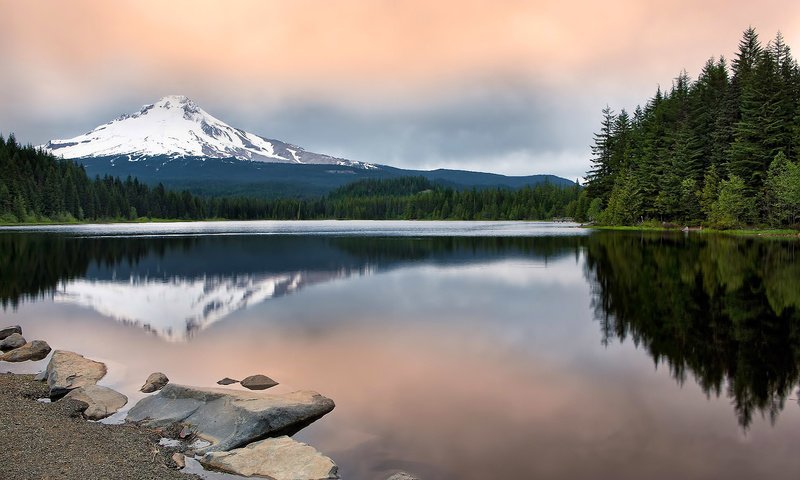 Обои вода, природа, лес, отражение, пейзаж, гора, орегон, гора маунт худ, water, nature, forest, reflection, landscape, mountain, oregon, mount hood разрешение 1920x1200 Загрузить