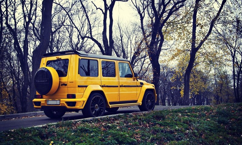 Обои желтый, осень, внедорожник, мерседес, мерседес бенц, g63, mansory gronos, yellow, autumn, suv, mercedes, mercedes benz разрешение 1920x1080 Загрузить