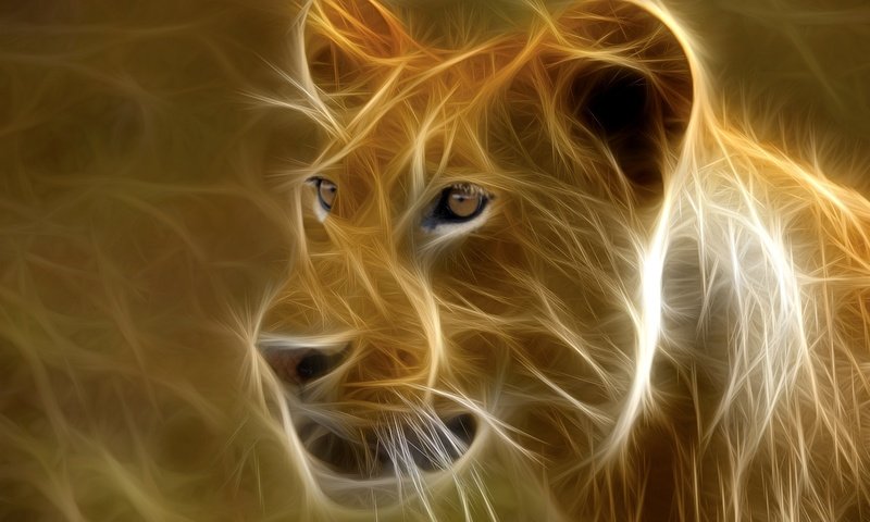 Обои арт, огонь, лев, львица, 3д, art, fire, leo, lioness, 3d разрешение 1920x1080 Загрузить