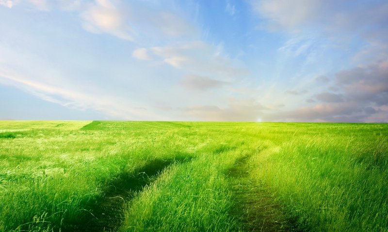 Обои небо, дорога, трава, облака, зелень, поле, горизонт, the sky, road, grass, clouds, greens, field, horizon разрешение 1920x1080 Загрузить