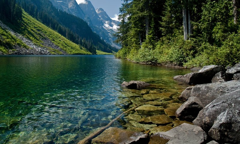 Обои деревья, вода, горы, природа, горная река, trees, water, mountains, nature, mountain river разрешение 2560x1600 Загрузить