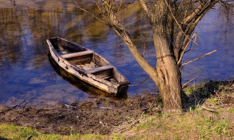 Обои река, дерево, лодка, цепь, river, tree, boat, chain разрешение 2560x1600 Загрузить