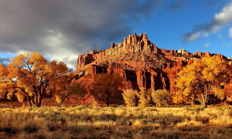 Обои скала, осень, каньон, сша, национальный парк, капитол-риф, capitol reef national park, осенний пейзаж, rock, autumn, canyon, usa, national park, capitol reef разрешение 2560x1600 Загрузить