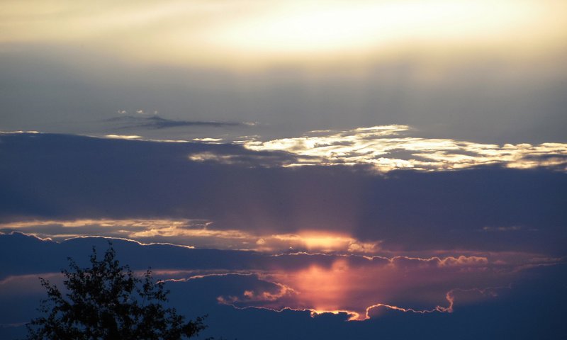 Обои небо, облака, закат, лучи, перед дождем, the sky, clouds, sunset, rays, before the rain разрешение 2560x1600 Загрузить