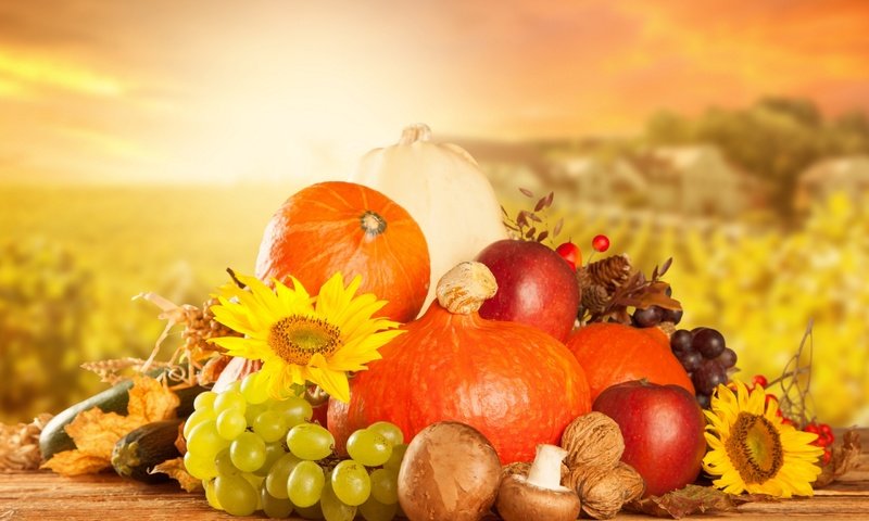 Обои виноград, фрукты, яблоки, осень, грибы, урожай, овощи, тыквы, grapes, fruit, apples, autumn, mushrooms, harvest, vegetables, pumpkin разрешение 2560x1600 Загрузить