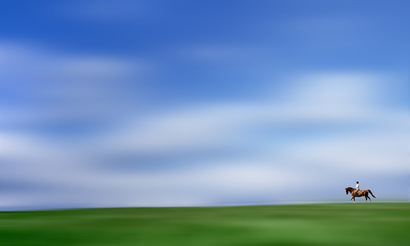 Обои лошадь, горизонт, наездник, horse, horizon, rider разрешение 2560x1600 Загрузить