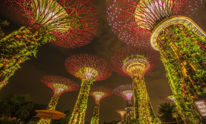 Обои ночь, огни, парк, сад, подсветка, сингапур, marina bay sands, марина бей, marina bay gardens, night, lights, park, garden, backlight, singapore, marina bay разрешение 1920x1200 Загрузить