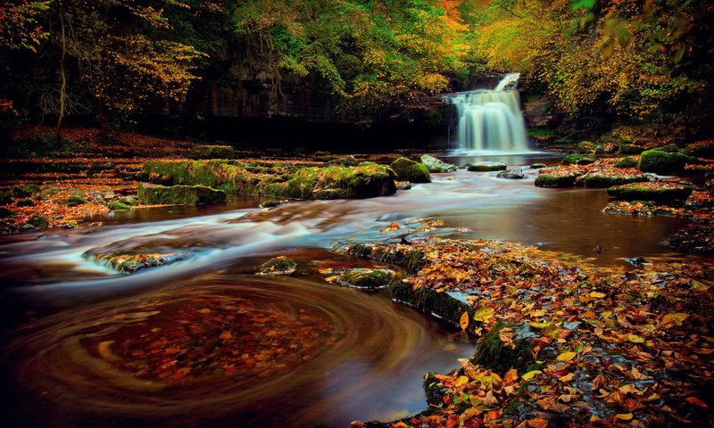 Обои лес, водопад, осень, октябрь, йоркшир, северная англия, forest, waterfall, autumn, october, yorkshire, northern england разрешение 1920x1200 Загрузить