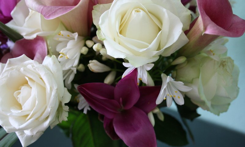 Обои цветы, букет (вам девушки, независимо от вашей красоты), flowers, the bouquet (you girls, regardless of your beauty) разрешение 2560x1600 Загрузить