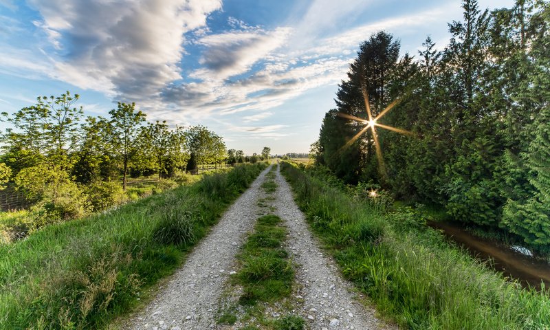 Обои дорога, деревья, солнце, пейзаж, road, trees, the sun, landscape разрешение 2374x1500 Загрузить