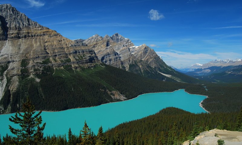 Обои озеро, горы, лес, пейзаж, канада, национальный парк банф, peyto lake, пейто, lake, mountains, forest, landscape, canada, banff national park, peyto разрешение 2560x1600 Загрузить