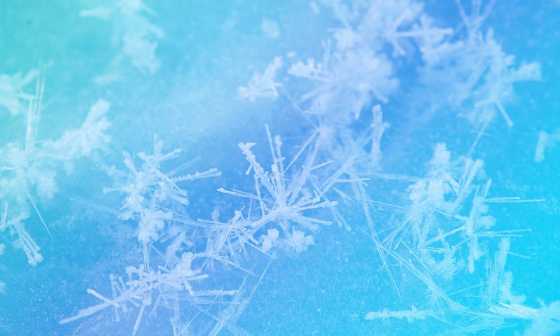 Обои снежинки, зимний узор, голубая текстура, snowflakes, winter pattern, blue texture разрешение 2560x1600 Загрузить