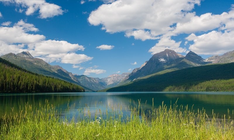 Обои монтана, bowman lake, национальный парк глейшер, montana, glacier national park разрешение 1920x1200 Загрузить