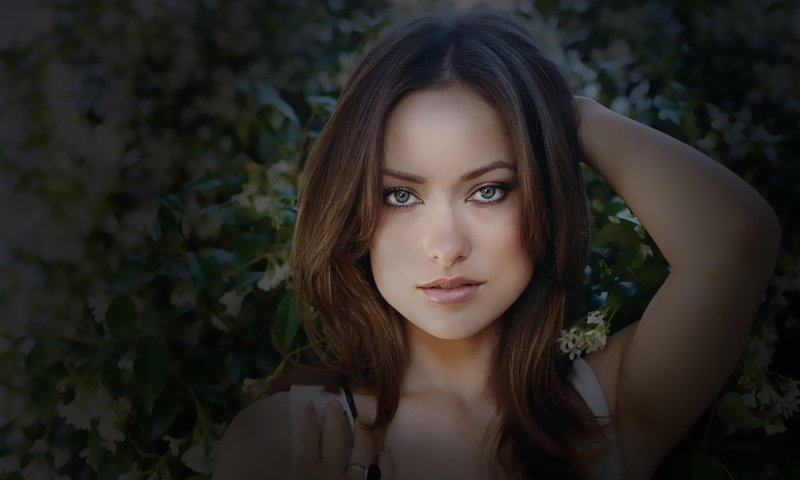 Обои игруха, оливия yайлд, ., olivia wilde разрешение 1920x1200 Загрузить