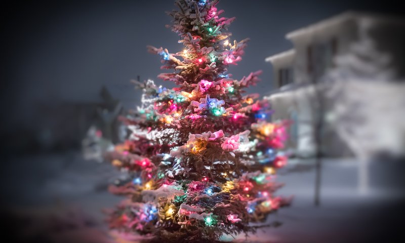 Обои огни, снег, новый год, елка, зима, гирлянда, lights, snow, new year, tree, winter, garland разрешение 4555x3036 Загрузить