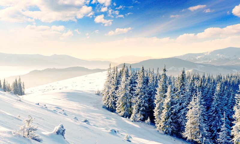 Обои горы, снег, лес, зима, mountains, snow, forest, winter разрешение 2560x1600 Загрузить