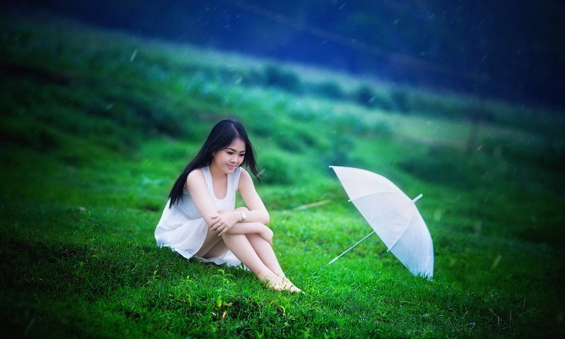 Обои трава, девушка, лето, дождь, зонт, зонтик, азиатка, grass, girl, summer, rain, umbrella, asian разрешение 1920x1200 Загрузить