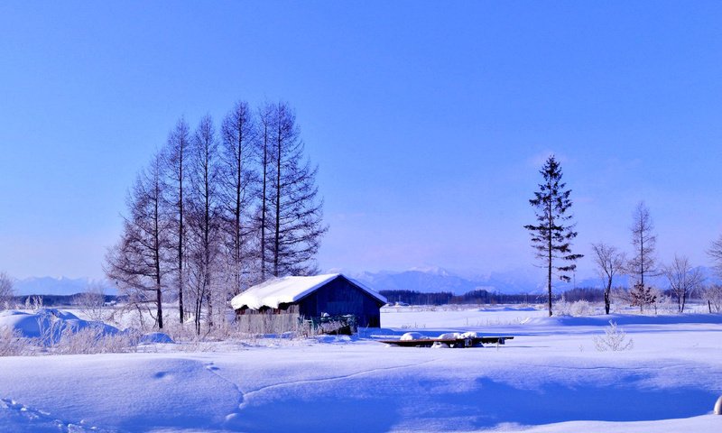 Обои деревья, снег, зима, поле, дом, trees, snow, winter, field, house разрешение 1920x1200 Загрузить
