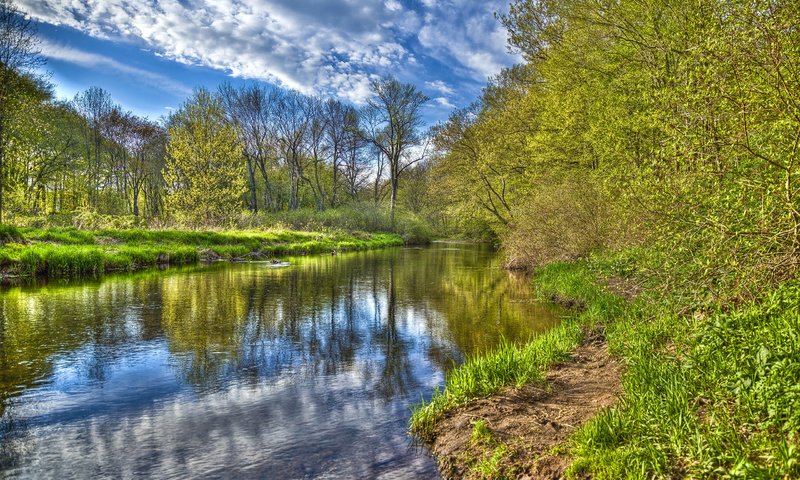 Обои небо, облака, река, лес, the sky, clouds, river, forest разрешение 2560x1600 Загрузить