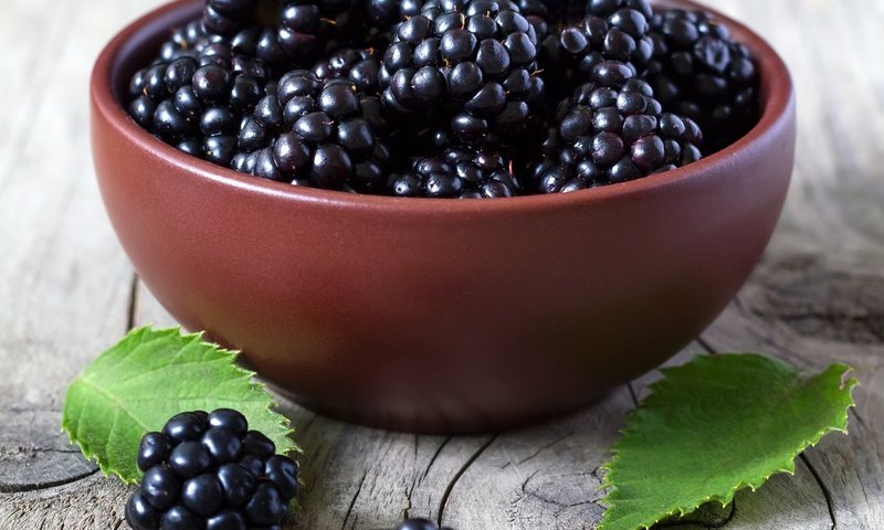 Обои ягода, листики, ежевика, миска, berry, leaves, blackberry, bowl разрешение 2911x2797 Загрузить
