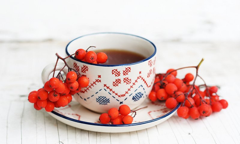 Обои осень, блюдце, ягоды, чашка, чай, рябина, autumn, saucer, berries, cup, tea, rowan разрешение 2000x1333 Загрузить